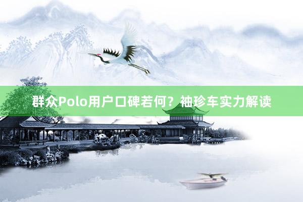 群众Polo用户口碑若何？袖珍车实力解读