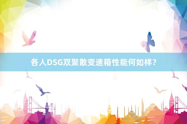 各人DSG双聚散变速箱性能何如样？